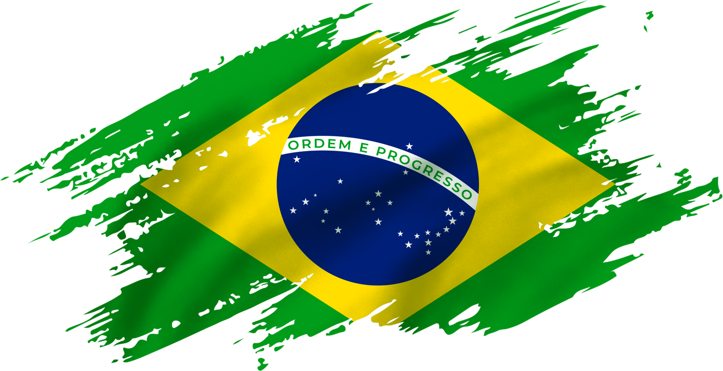 Realistic Brazil Flag