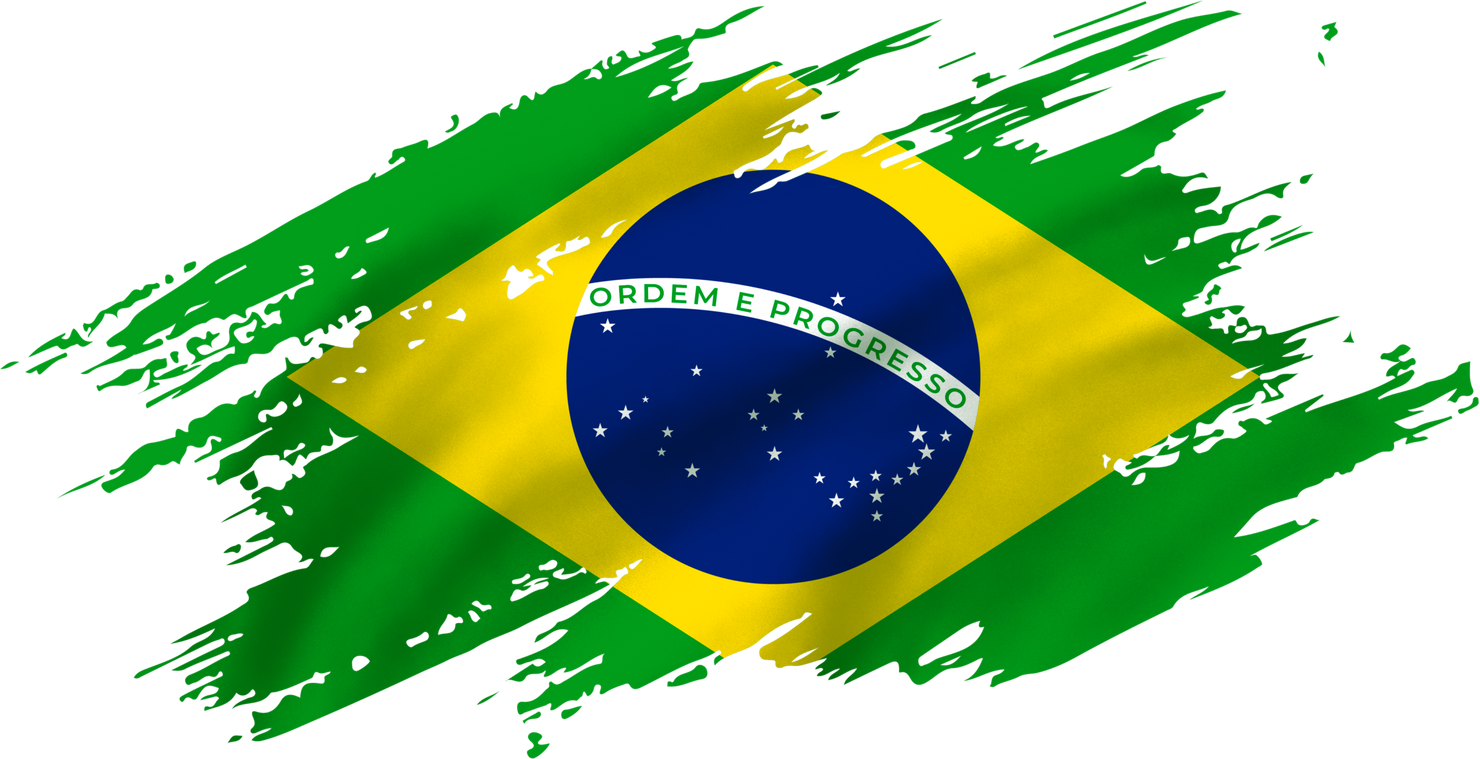 Realistic Brazil Flag